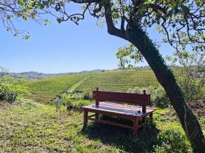 Sabato 17 ottobre 2026: Camminata Unitre sul Collio Sloveno
