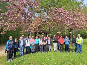 2 maggio e 9 maggio: Camminate ecologiche per Riconoscimento alberi sul Collio e sul Carso